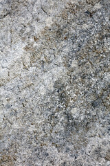 Retro white old damaged cracked wall surface macro background fine modern art high quality instant prints products fifty megapixels