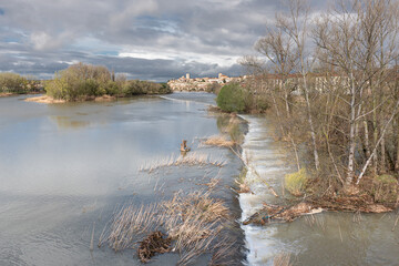 Flowing Duero River with the city of Zamora in the background