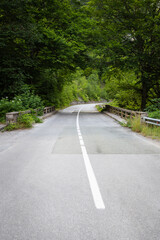 A scenic winding road winds through a lush green forest, creating a tranquil journey.