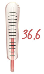 Glass thermometer with normal body temperature on a white background