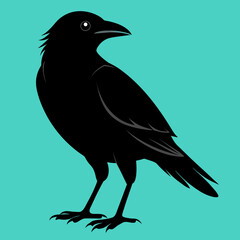 raven on a branch