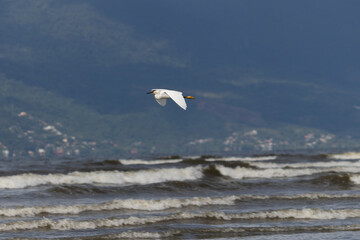 Photograph of Caraguatatuba in S&atilde;o Paulo, Brazil.	