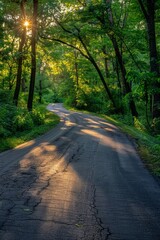 Fototapeta premium Empty asphalt road winding through lush green woods at sunset, bathed in warm golden light, evoking