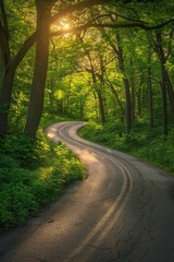 Obraz premium Empty asphalt road winding through lush green woods at sunset, bathed in warm golden light, evoking