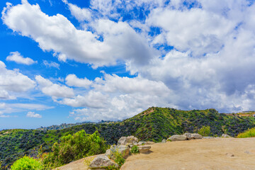 Fototapeta premium Green Hills of Runyon Canyon Park