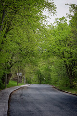 Obraz premium Country road in spring