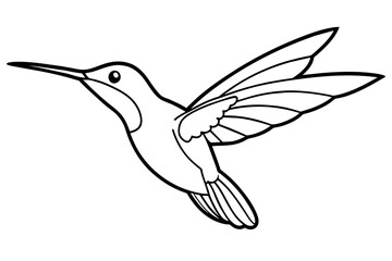 hummingbird line art silhouette vector illustration