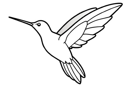 recommend clip art: hummingbird line art silhouette vector illustration