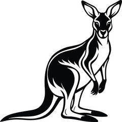 kangaroo illustration