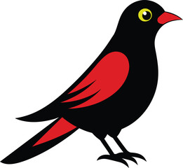 illustration of a bird 