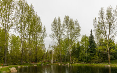 Yampa River Botanic Park in Steamboat Springs, Colorado, on a rainy day