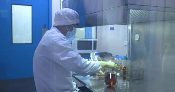 Scientist in lab working with petridish in the microbiology laboratory, microbiologist scientist, at workplace in a research laboratory study a petri dish, microbiology petri dish experiment. Outside