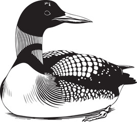 loon silhouette vector illustration, Loon silhouette vector art illustration with white background