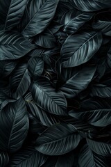 Ultra-sharp photo showcasing abstract black leaves arranged a textured pattern, creating a striking