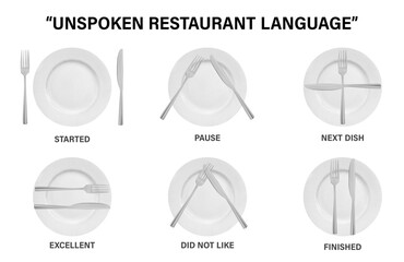 Explanatory illustration for a fashion magazine unspoken restaurant language