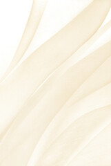 close up of the white organza fabric texture background