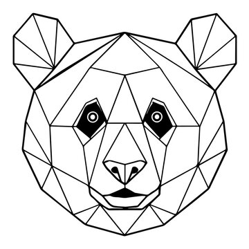 panda portrait low poly polygon outline line art illustration , isolated on transparent background