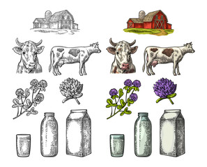 Set Milk farm. Cow head, clover, box carton package, glass and bottle.