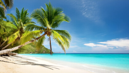 Sandstrand mit Palmen und Meer 