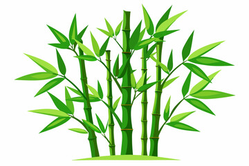 green bamboo vector illustration