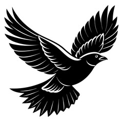 eagle vector illustration