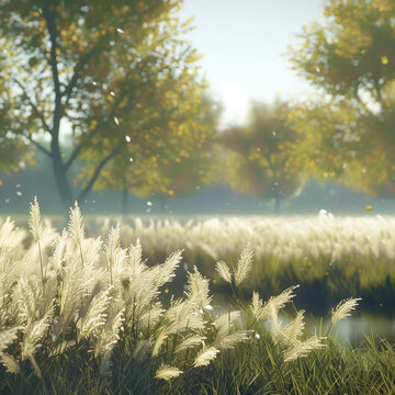 Serene Meadows Swaying with Tall Golden Grasses