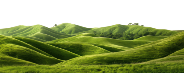 green hills landscape isolated on white or transaprent png