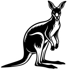 kangaroo illustration