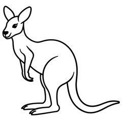 kangaroo
