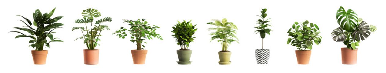 ollection of Lush Green Indoor Houseplants in Terracotta Pots Isolated on PNG Cutout