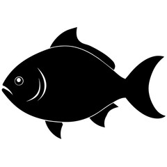 fish illustration
