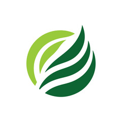 leaf logo vector illustration design