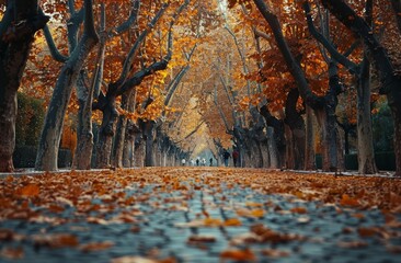 Obraz premium Autumnal Tree Lined Path With Fallen Leaves