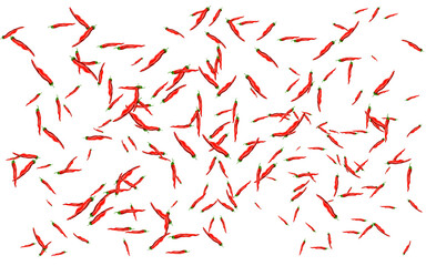 bunch of ripe red curly chilies without background