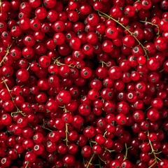 Red currant berries texture background, Ribes rubrum fruits pattern, many redcurrant mockup, pink berries