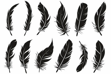 Feather icon, animal feathers isolated, black plume symbol, minimal plume silhouette on white