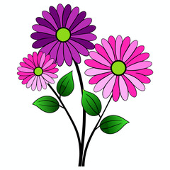 vector pink and purple gerbera daisy illustration