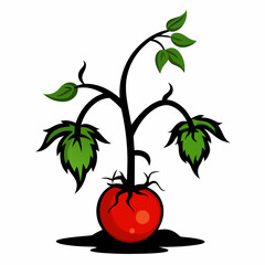 Tomato plant withering vector  illustration.