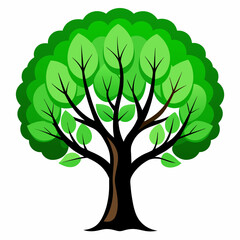 tree with full green leaves vector  illustration.