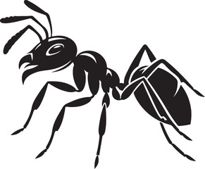 black ant isolated on white background