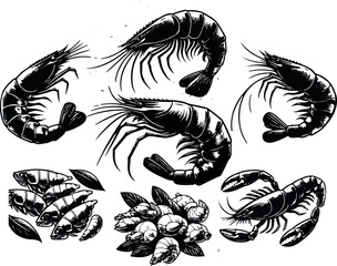 Vector illustration of a shrimp, a member of the Caridea order, depicted in a scratchboard style. This hand-drawn image captures the intricate details of the shrimp's anatomy