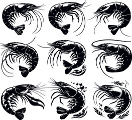 Vector illustration of a shrimp, a member of the Caridea order, depicted in a scratchboard style. This hand-drawn image captures the intricate details of the shrimp's anatomy