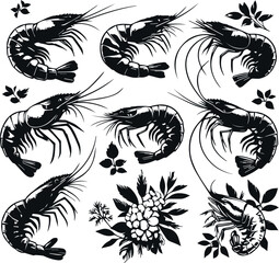 Vector illustration of a shrimp, a member of the Caridea order, depicted in a scratchboard style. This hand-drawn image captures the intricate details of the shrimp's anatomy