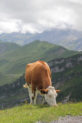 Switzerland landscapes  