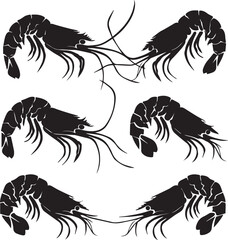 Vector illustration of a shrimp, a member of the Caridea order, depicted in a scratchboard style. This hand-drawn image captures the intricate details of the shrimp's anatomy