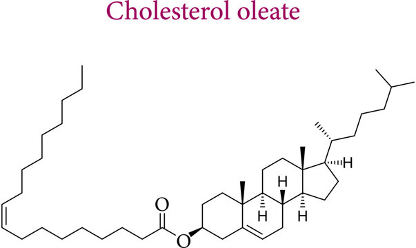 Chemical structure of cholesterol oleate. Vector illustration