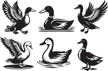 set of ducks