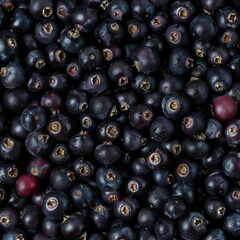 Aronia texture background, chokeberries fruits pattern, Aronia melanocarpa mockup, banner, purple chokeberry