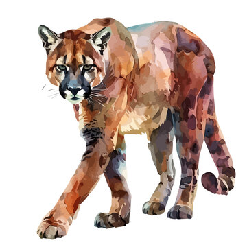 Watercolor Painting Of A Cougar, Isolated On A White Background, Cougar Vector, Drawing Clipart, Illustration Vector, Graphic Painting, Design Art, Logo