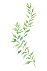 Obraz premium Hand-painted watercolor green leafy branches on a white background. Delicate botanical art for natural, organic, and eco-friendly design.